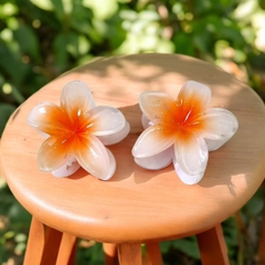 T7.1.Kẹp càng cua nhựa trong hoa sứ 8cm