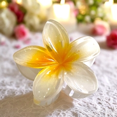 T7.1.Kẹp càng cua nhựa trong hoa sứ 8cm