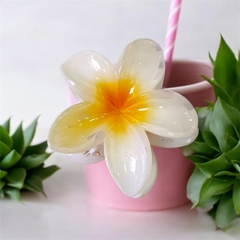 T7.1.Kẹp càng cua nhựa trong hoa sứ 8cm