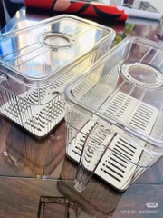 PT1.5 Hộp đựng thực phẩm tủ lạnh trong suốt có tay cầm và nắp 3,5L 24x13x13cm