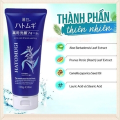 Sữa Rửa Mặt Ngừa Mụn Hatomugi The Medicated Facial Foam 130g