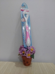 B8.3 Bàn chải nạo lưỡi Dentfine