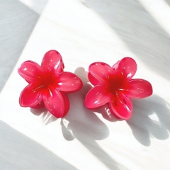 T7.1.Kẹp càng cua nhựa trong hoa sứ 8cm