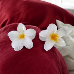 T7.1.Kẹp càng cua nhựa trong hoa sứ 8cm
