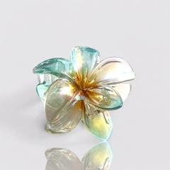 Kẹp càng cua hoa sứ hologram siêu hot