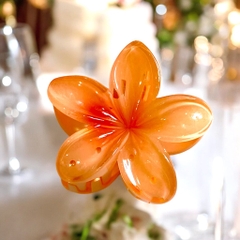 Kẹp Càng Cua Hoa Sứ Nhựa Trong 8cm