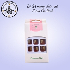 Bộ 24 nail chân giả