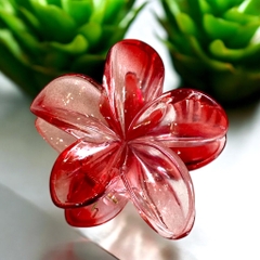 T7.1.Kẹp càng cua nhựa trong hoa sứ 8cm