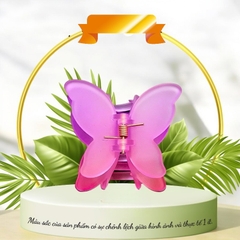 Kẹp bướm nhám 2 lớp nhiều màu