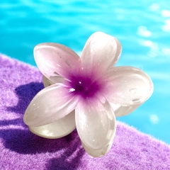 T7.1.Kẹp càng cua nhựa trong hoa sứ 8cm