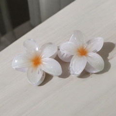 T7.1.Kẹp càng cua nhựa trong hoa sứ 8cm