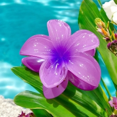 T7.1.Kẹp càng cua nhựa trong hoa sứ 8cm