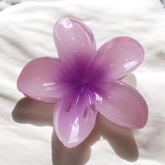 T7.1.Kẹp càng cua nhựa trong hoa sứ 8cm