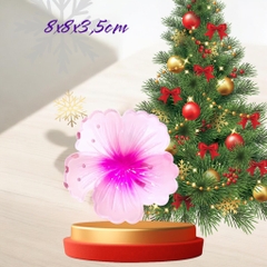 Kẹp tóc nhựa hoa sư tròn kiểu mới