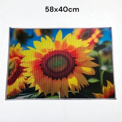 Thảm chân vải chữ nhật hoa 3D