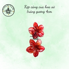 Kẹp hoa sứ trắng gương 4cm