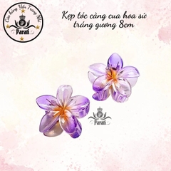 Kẹp càng cua hoa sứ tráng gương 8cm