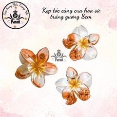 Kẹp càng cua hoa sứ tráng gương 8cm
