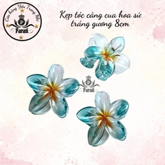 Kẹp càng cua hoa sứ tráng gương 8cm