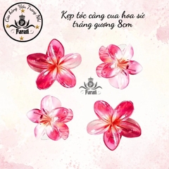 Kẹp càng cua hoa sứ tráng gương 8cm