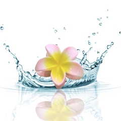 Kẹp hoa sứ mẫu mới 8cm