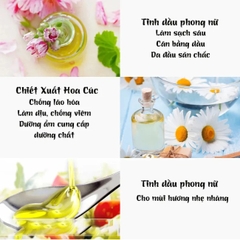 Sữa tắm chiết xuất thảo mộc tự nhiên Pharmaact Nhật Bản 600ml