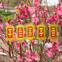 Bịch 5 dây liễng trang trí Tết