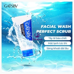 Sữa Rửa Mặt Gatsby Sạch Bụi Bẩn & Dầu Nhờn Facial Wash Perfect Scrub 130g