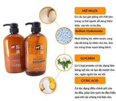 Dầu Gội, Xả Kumano Cosmetics Chiết Xuất Từ Dầu Ngựa  600ml