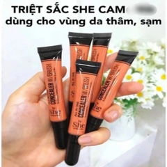 Che khuyết điểm triệt sắc She All In One