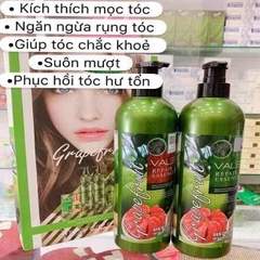 Dầu Gội Xả Bưởi Valert Grapefruit Trị Rụng Tóc 850ml