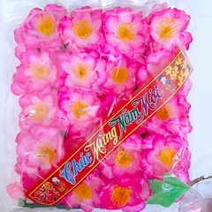 Bịch Hoa Mai, Hoa Đào Trang Trí Tết