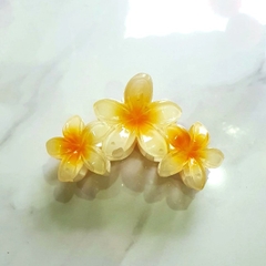 T7.2.Kẹp hoa sứ 3 bông