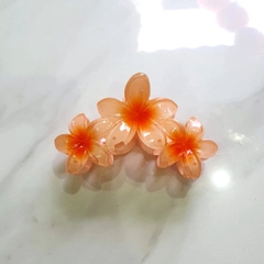 T7.2.Kẹp hoa sứ 3 bông