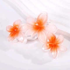 T7.2.Kẹp hoa sứ 3 bông