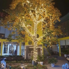 Dây đèn nháy kim cương vàng 40m