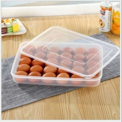 Hộp đựng 24 quả trứng Việt Nhật No.6786 (31x23x6cm)