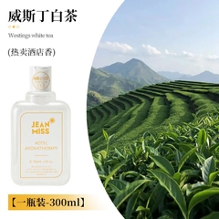 13.10 {China}Tinh dầu thơm phòng JEAN MISS 300ml