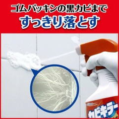 S2. Chai xịt tẩy nấm mốc cao cấp Johnson 400g