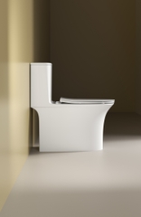 ST-508 Bồn cầu SELTA liền khối
