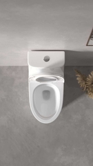 ST-506 Bồn cầu SELTA liền khối