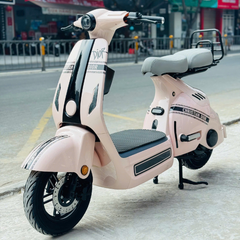 Xe Đạp Điện V2