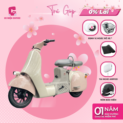 Xe Đạp Điện Dreaform Type 2