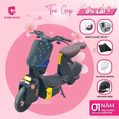 Xe Đạp Điện Dreaform Type 1