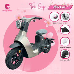 Xe Đạp Điện Dreaform Type 3