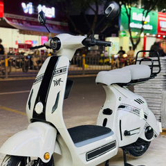 Xe Đạp Điện V2
