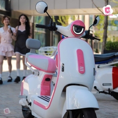 Xe Điện X1