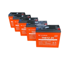 Ắc quy Thiên Năng chịu nhiệt 60V – 25Ah (Bộ 4 bình)