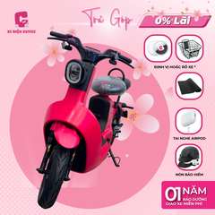 Xe Đạp Điện Dreaform Type 3