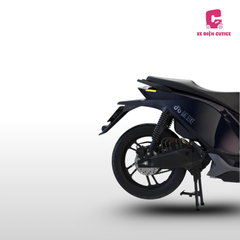 Xe Dat Bike Quantum